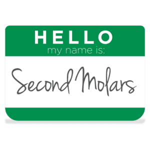 Second molars